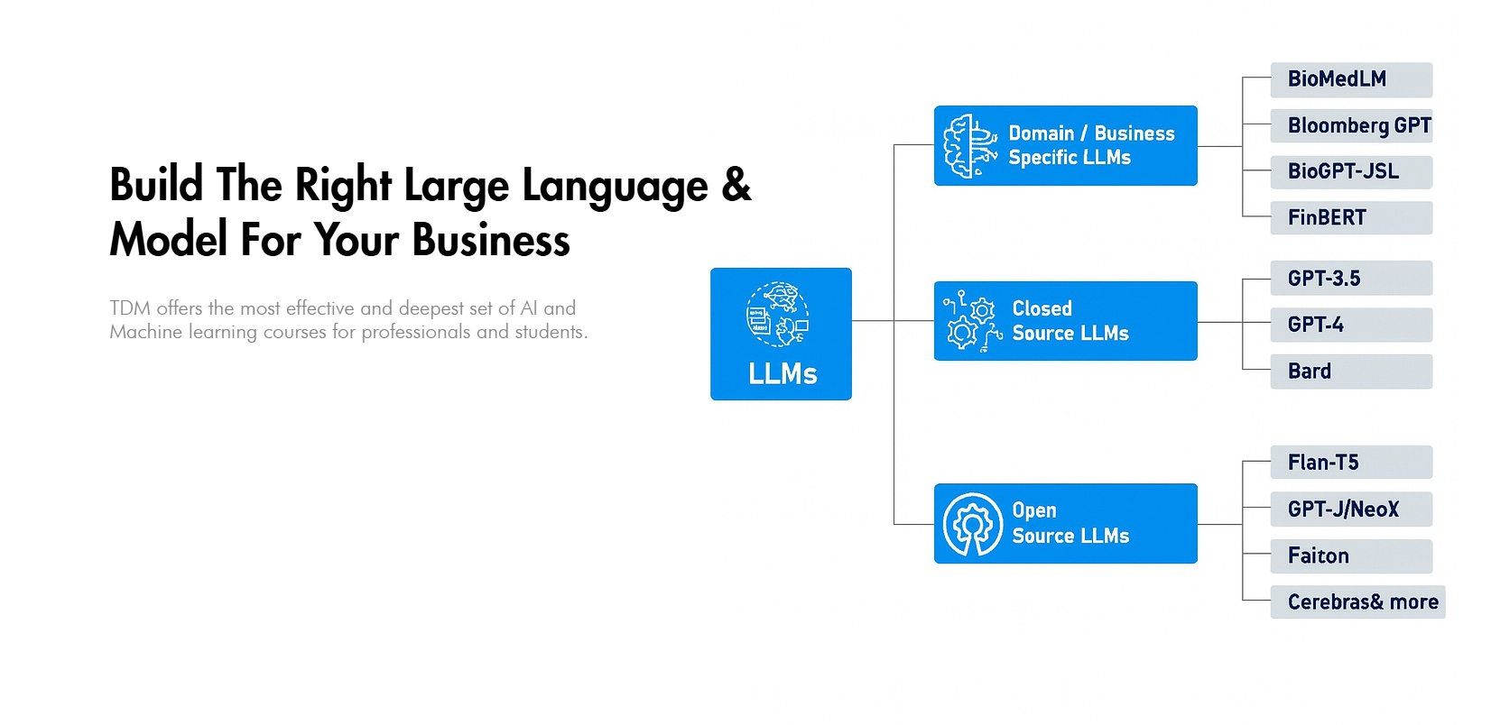 Data Science Consulting