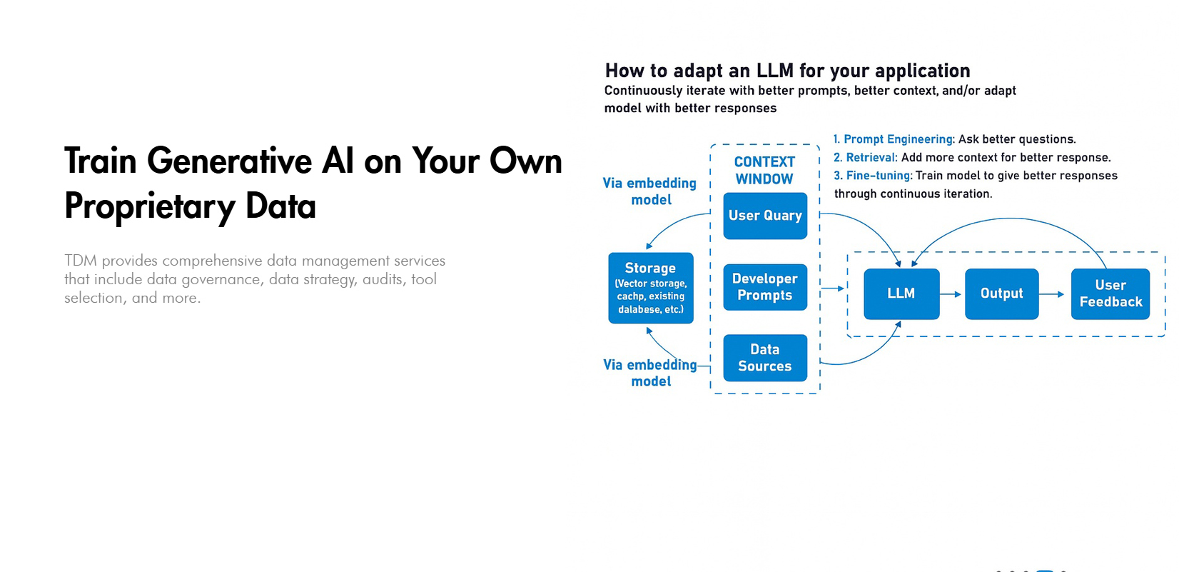 AI Education & Training